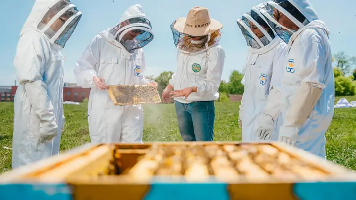 lola-bees-ontarios-southwest2.jpg